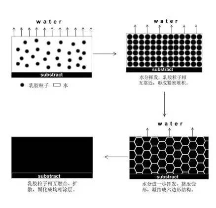 亚洲AV色香蕉一区二区三区水漆