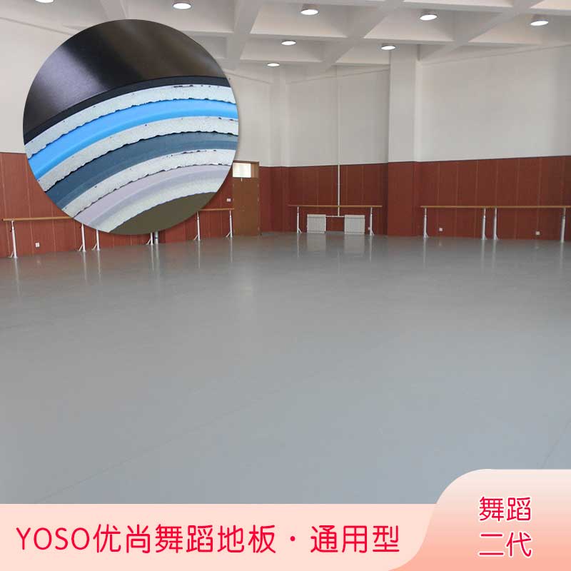 舞蹈二代·舞蹈国产香蕉视频_舞台国产香蕉视频