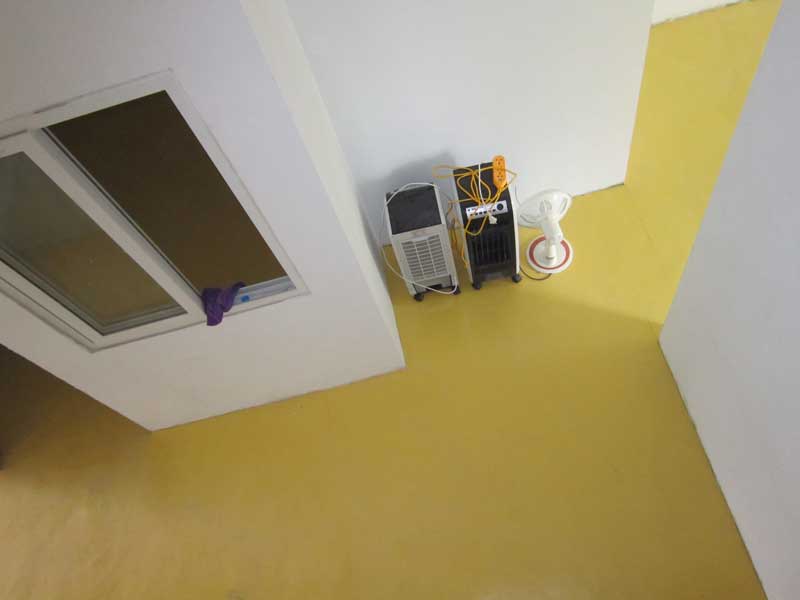 pvc国产香蕉视频的發展進程