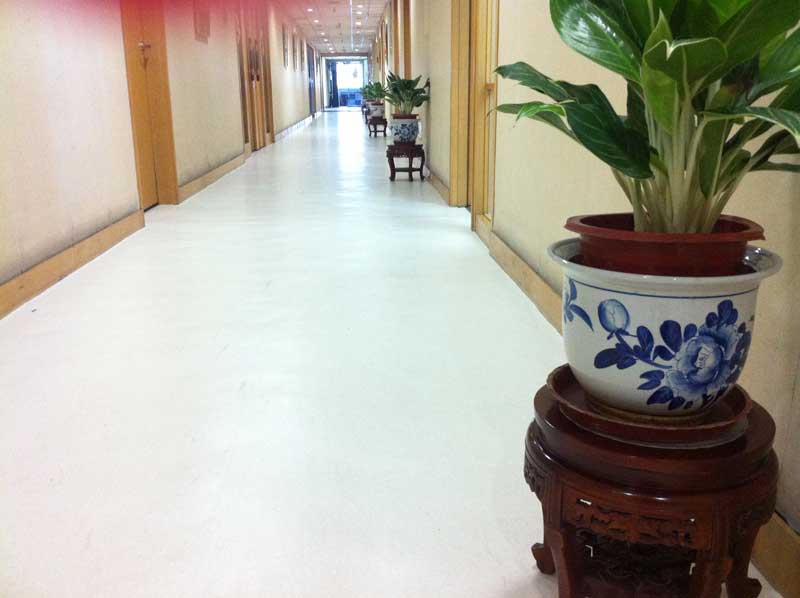 中國廣告聯合總公司辦公室国产香蕉视频