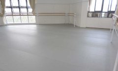 舞蹈国产香蕉视频多少錢一平方米