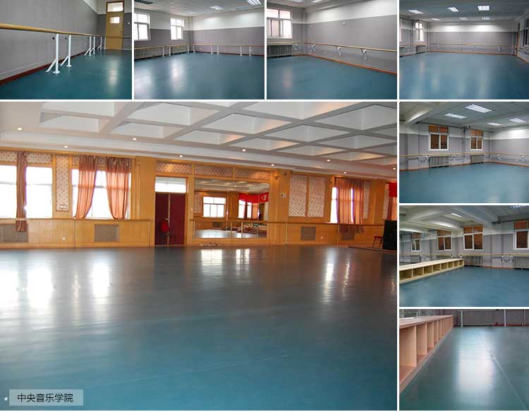 舞動係列·舞蹈国产香蕉视频_舞台国产香蕉视频